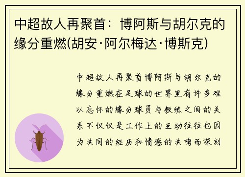 中超故人再聚首：博阿斯与胡尔克的缘分重燃(胡安·阿尔梅达·博斯克)